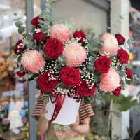 Lãng hoa cúc mẫu đơn mix hồng đỏ ohara