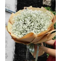 Bó Hoa Baby Trắng